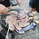 밸런스독 애견펜션 이미지