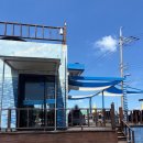 관전로 | [제주] 바다뷰와 애플망고빙수의 환상조합 &#39;뽀르뽀라카페&#39; 방문 후기!