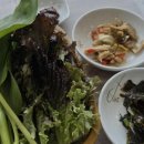 울릉도식당 이미지