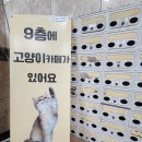 냥카페,루브 이미지