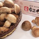 (주)송암푸드
