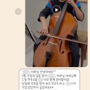 비바첼로스튜디오