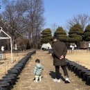 한회목장 | 아기랑 국내여행으로 딱! 아그로랜드 태신목장 농장체험 후기