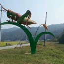 앞산자연농원