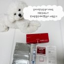 솔루션독 | 강아지장건강검사 바프독 FRESHGUT 반려동물장내미생물검사 체험후기