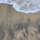 구림축사 | 근 황