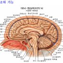 인간이 죽어야 되는 이유 이미지