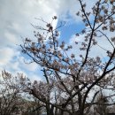 2023.3.26 토함산,석굴암,불국사 이미지