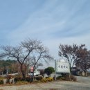 아프리카커피백산점 | [전북 김제] 은빛가든, 메기탕 짱짱맛집