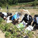 공군제16전투비행단 이미지