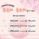 미용실티지오 이미지