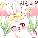 마꽁이네 네이버블로그