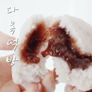 다복떡방 - 종로구 통일로 246-10 | 대전 다복떡빵(범픽떡), 택배 가능한 낱개 퓨전떡(종류/가격/내돈내산)