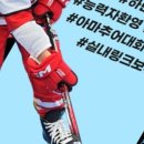 플레임스인라인하키클럽