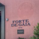 플래티넘맥주 광장점 | 포르투여행 - 포르투호텔 Forte de gaia 후기 (메리어트 플래티넘 혜택, 슈페리어 풀킹룸, 수영장, 조식...