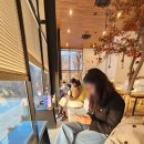 너울숲 | 숲너울 카페 후기｜자연 감성 가득한 힐링 공간, 대전 근 숨은 카페 추천