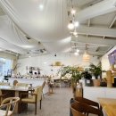고인돌카페(GOINDOL CAFE) 이미지