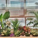 마음정원 정신건강의학과의원 이미지