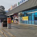 남성주참외(창원) 이미지