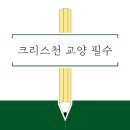 컨텐츠조우 이미지
