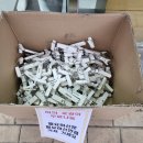 페리미츠수원 이미지
