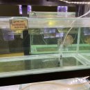 충주자연생태체험관(지하1) 이미지