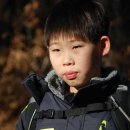 곡선초 이미지