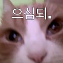 잇다카 이미지