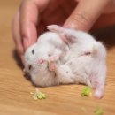 사랑을찍다 이미지