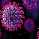 대곡면-8 이미지