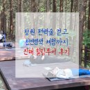 창원 편백숲 걷고 천연염색 체험 힐링투어 후기