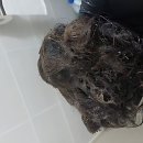 광장26호 | 헬게이트 오픈! 위례 변기막힘 찐 후기 나만 당할 수 없지