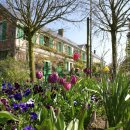 모네의정원 이미지