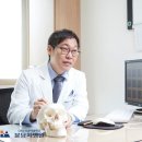 韓 연구진, 세계 최초 태아 뇌 줄기세포 이식해 파킨슨병 치료 효과 확인 이미지