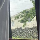 달빛명월