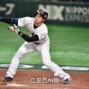 타이밍  포토 이미지