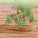 가정1-01-056 이미지