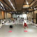 유나이티드 미르태권도장 이미지