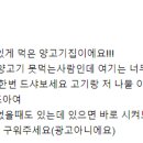 홍램
