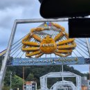 좋은날펜션 | 영덕 강구 맛집 기분좋은날대게회펜션 바다 앞 스키다시 잘 나오는 곳