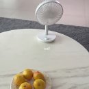 과일쟁이