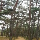 홍헤어 스토리
