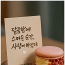 뷰티커넥터 이미지