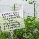 추동배드민턴장 이미지