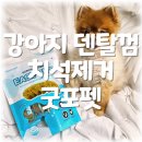 바로덴탈 | 강아지덴탈껌 분리불안 치석제거 도움 굿포펫