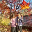 구례스테이 | [구례] 천은사 템플스테이 대만족 후기 🍁 (가을ver)