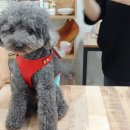 패브릭 공예와 옷 만들기 이미지