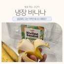 키위티바나나 먹어본 후기 | 키위처럼 새콤한 바나나가 있다고?