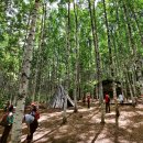 자작나무쉼터 이미지