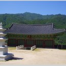 현정사 Daum카페